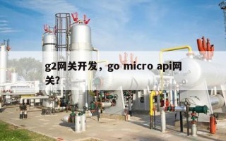 g2网关开发，go micro api网关？