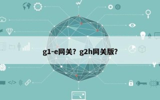 g1-e网关？g2h网关版？