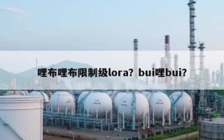 哩布哩布限制级lora？bui哩bui？