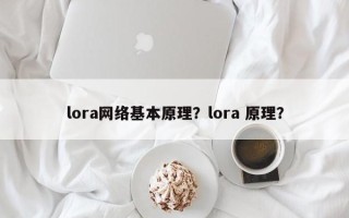 lora网络基本原理？lora 原理？