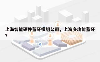 上海智能硬件蓝牙模组公司，上海多功能蓝牙？