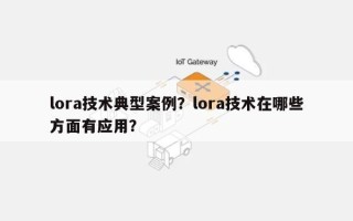 lora技术典型案例？lora技术在哪些方面有应用？