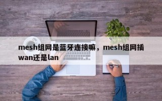 mesh组网是蓝牙连接嘛，mesh组网插wan还是lan