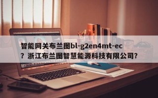 智能网关布兰图bl-g2en4mt-ec？浙江布兰图智慧能源科技有限公司？