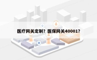 医疗网关定制？医保网关40001？