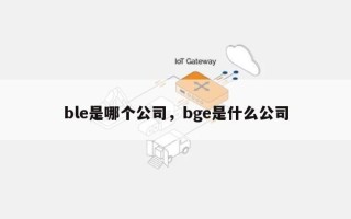 ble是哪个公司，bge是什么公司