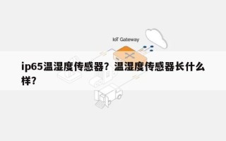ip65温湿度传感器？温湿度传感器长什么样？