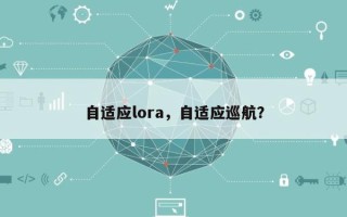 自适应lora，自适应巡航？