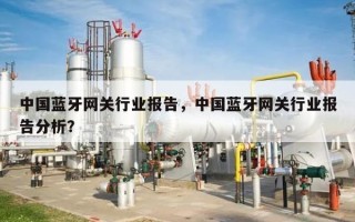 中国蓝牙网关行业报告，中国蓝牙网关行业报告分析？