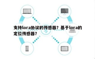 支持lora协议的传感器？基于lora的定位传感器？
