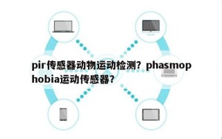 pir传感器动物运动检测？phasmophobia运动传感器？