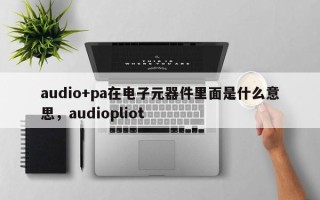 audio+pa在电子元器件里面是什么意思，audiopliot