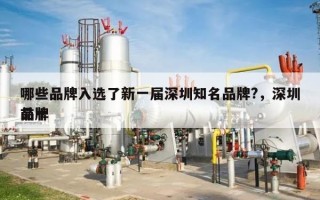 哪些品牌入选了新一届深圳知名品牌?，深圳前十
品牌