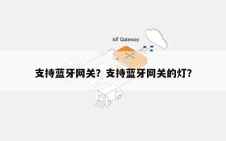 支持蓝牙网关？支持蓝牙网关的灯？