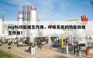 myf6功能相互作用，呼吸系统的功能和相互作用？