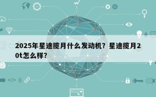 2025年星途揽月什么发动机？星途揽月20t怎么样？