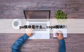 pa模块是什么，copa模块？