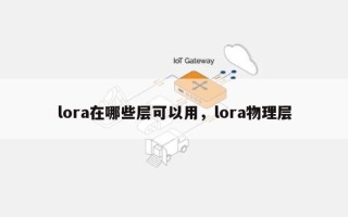 lora在哪些层可以用，lora物理层