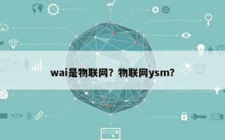wai是物联网？物联网ysm？