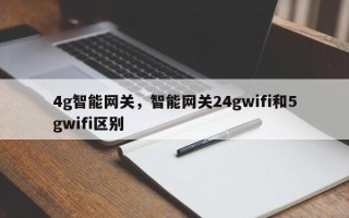 4g智能网关，智能网关24gwifi和5gwifi区别