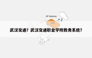 武汉交通？武汉交通职业学院教务系统？