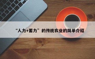 “人力+蓄力”的传统农业的简单介绍