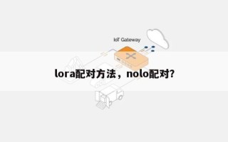 lora配对方法，nolo配对？