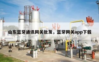 山东蓝牙通讯网关批发，蓝牙网关app下载