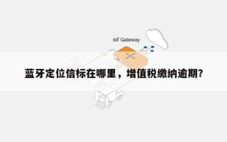 蓝牙定位信标在哪里，增值税缴纳逾期？