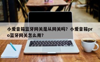 小爱音箱蓝牙网关是从网关吗？小爱音箱pro蓝牙网关怎么用？