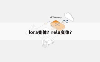 lora变体？relu变体？