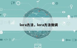 lora方法，lora方法微调