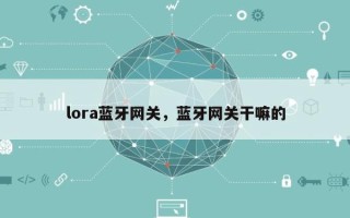 lora蓝牙网关，蓝牙网关干嘛的