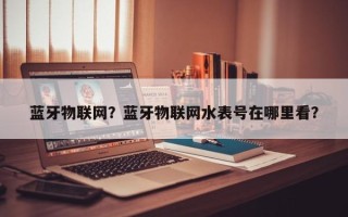 蓝牙物联网？蓝牙物联网水表号在哪里看？