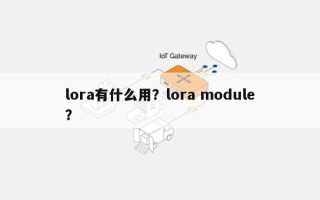 lora有什么用？lora module？
