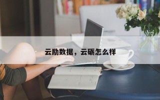 云励数据，云砺怎么样