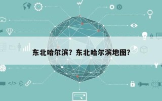 东北哈尔滨？东北哈尔滨地图？