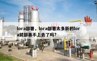 lora部署，lora部署太多新的lora就部暑不上去了吗?