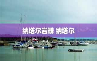 纳塔尔岩蟒 纳塔尔