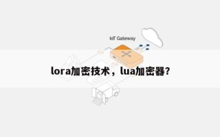 lora加密技术，lua加密器？