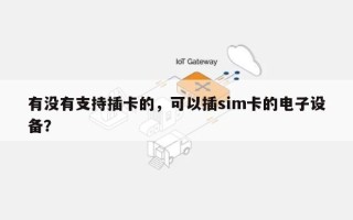 有没有支持插卡的，可以插sim卡的电子设备？