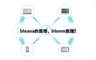 bleaoa的原理，bloom原理？