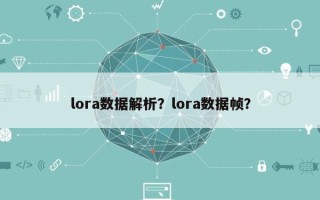 lora数据解析？lora数据帧？