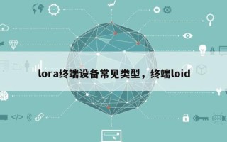 lora终端设备常见类型，终端loid