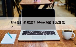 ble是什么意思？bleach是什么意思？