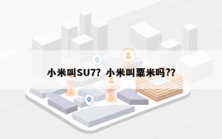 小米叫SU7？小米叫粟米吗?？