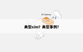 典型sim？典型事例？