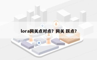 lora网关点对点？网关 跃点？