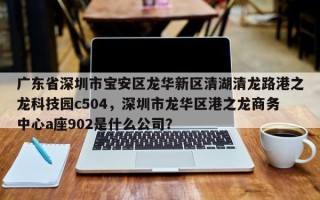 广东省深圳市宝安区龙华新区清湖清龙路港之龙科技园c504，深圳市龙华区港之龙商务中心a座902是什么公司？