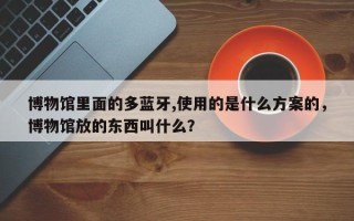 博物馆里面的多蓝牙,使用的是什么方案的，博物馆放的东西叫什么？